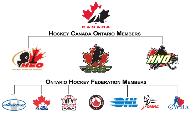 Hockey Canada Ontario Members Chart