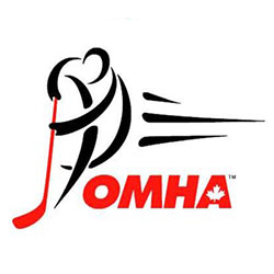 Hockey Network Link
